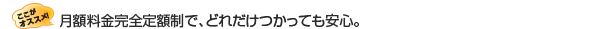 �C���^�[�l�b�g���d�b��TV���A���t�@�C�o�[�ЂƂőS�Ċy���߂�