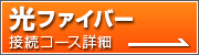 ���t�@�C�o�[�ڑ��R�[�X�ڍ�