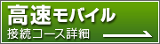 �������o�C���ڑ��R�[�X�ڍ�