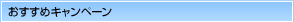 ADSL�������߃L�����y�[��