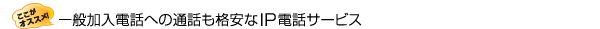 ��ʉ����d�b�ւ̒ʘb���i����IP�d�b�T�[�r�X